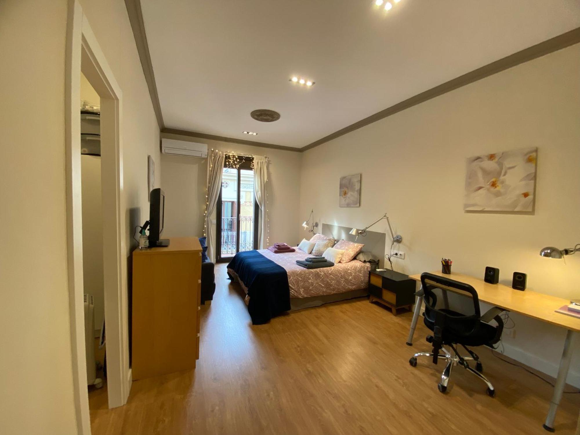 Spatious Luxe Paseo De Gracia Diagonal Appartement